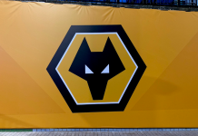 Vukovi otpustili trenera, poznato ko ga privremeno menja!