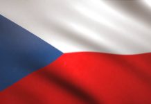 Česi imenovali novog selektora